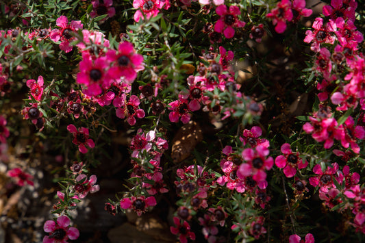 Del producte a l’experiència: la màgia de les relacions