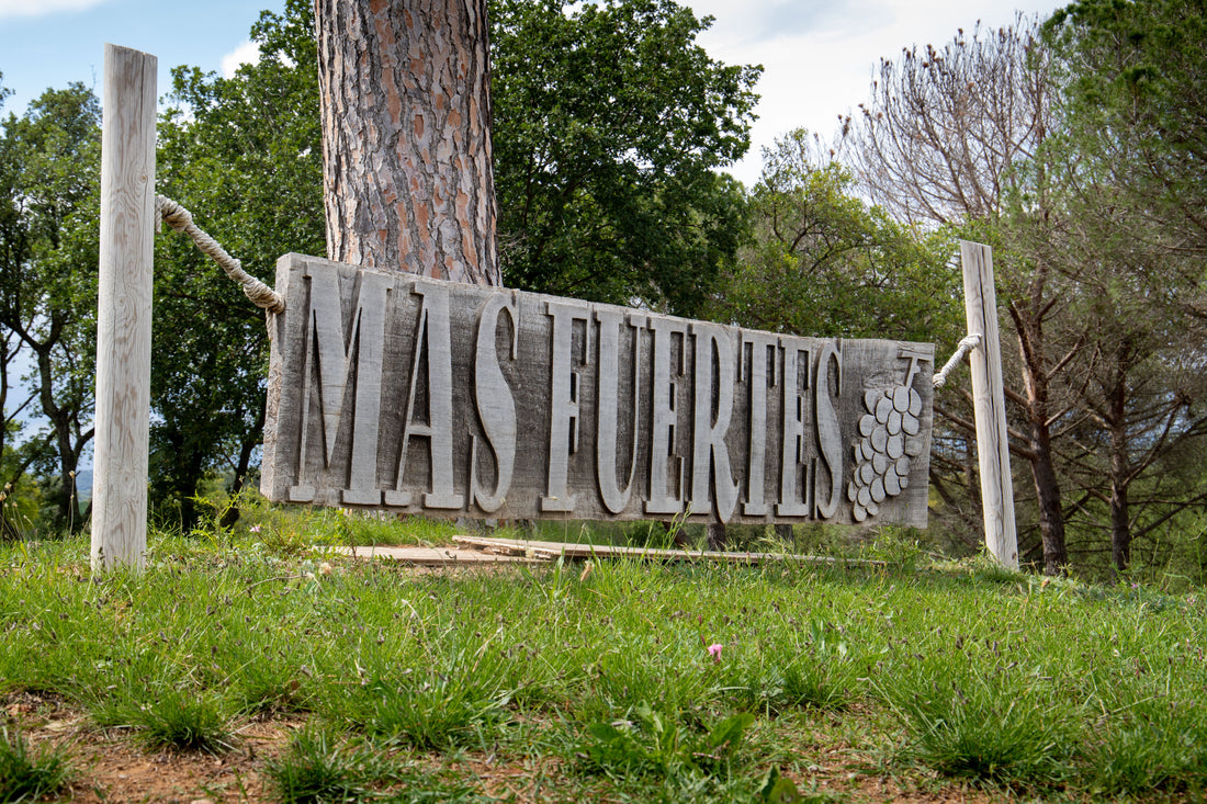 Building a Family Estate, one harvest at a time.