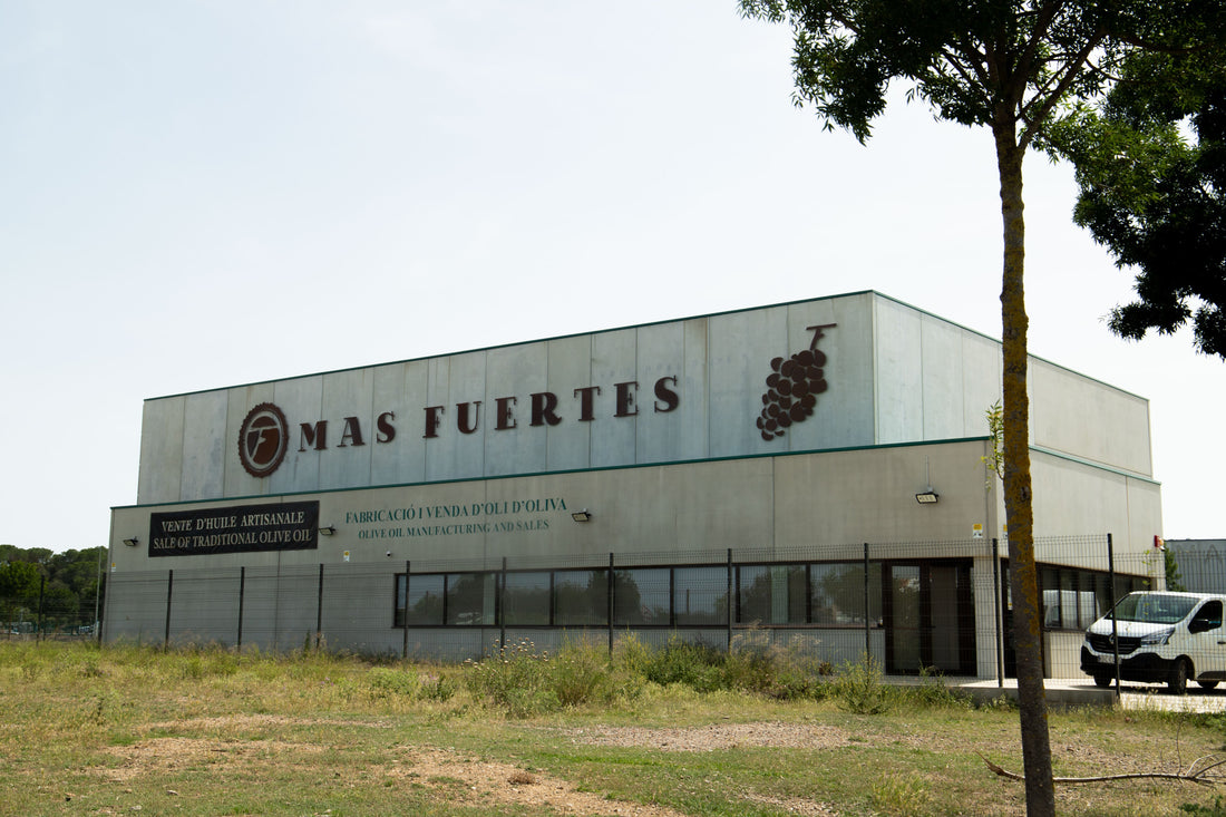 Wine tastings in Empordà at Mas Fuertes: An authentic Costa Brava winery experience