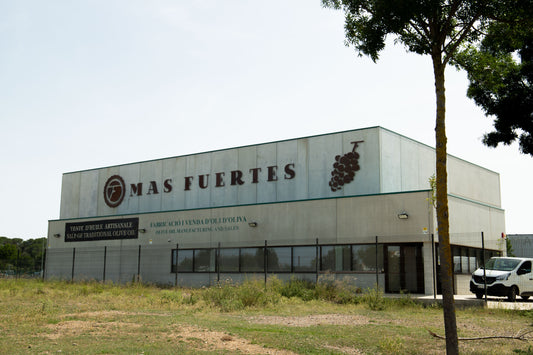 Wine tastings in Empordà at Mas Fuertes: An authentic Costa Brava winery experience