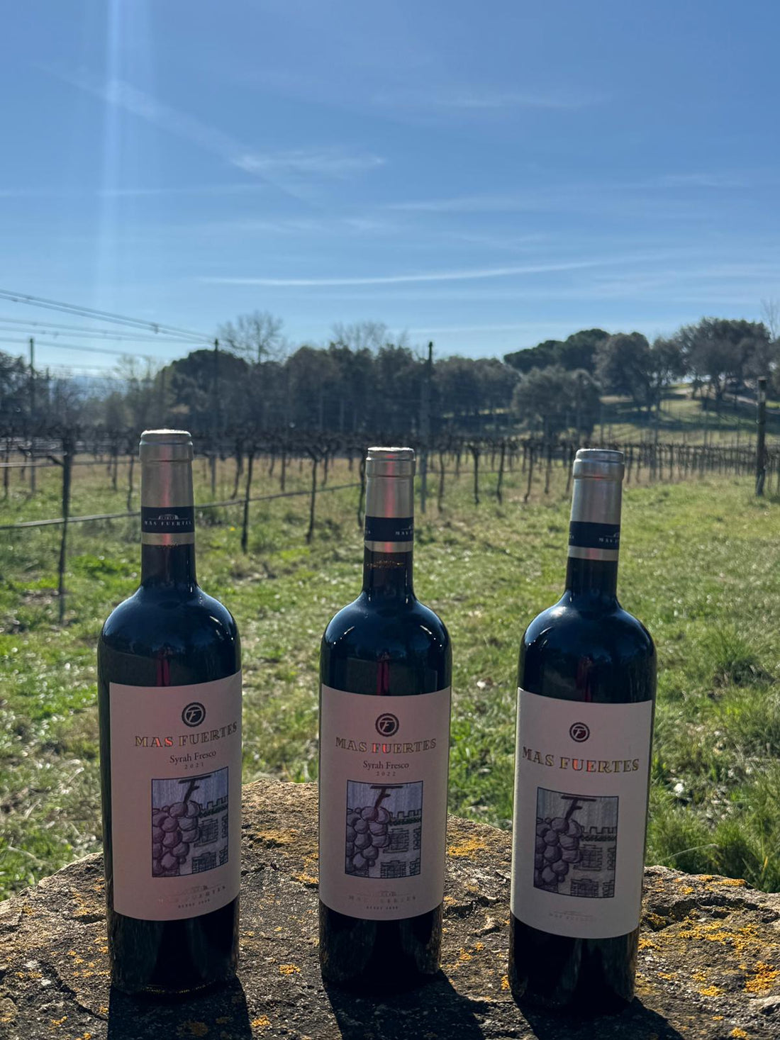 El repte de comunicar autenticitat en un mercat ple de soroll